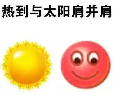 项目资助｜天气热，但他们学法热情更热